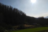 Farm and Ranch in Macon County, North Carolina