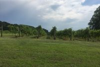 Farm and Ranch in Wilkes County, North Carolina