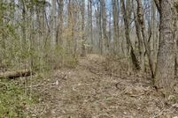 Undeveloped Land in Ripley County, Indiana
