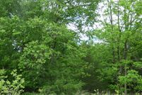 Undeveloped Land in Cumberland County, Virginia