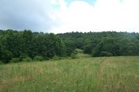 Undeveloped Land in Grayson County, Virginia