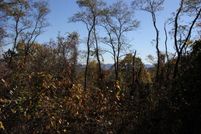 Land in Grayson County, Virginia