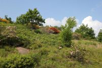 Land in Grayson County, Virginia