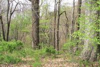 Land in Grayson County, Virginia