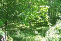 Land in Grayson County, Virginia