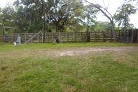Timberland Property in Brazoria County, Texas