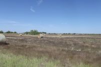 Undeveloped Land in Kaufman County, Texas