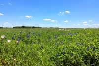 Land in Limestone County, Texas