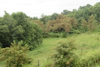 Undeveloped Land in Carroll County, Virginia