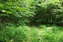 Hunting Property in Chautauqua County, New York