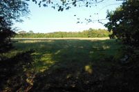 Undeveloped Land in Houston County, Texas