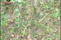 Land in Cleburne County, Arkansas