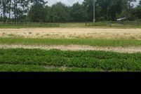 Land in Dodge County, Georgia