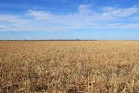 Farm and Ranch in Wilbarger County, Texas