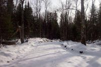 Land in Ontonagon County, Michigan