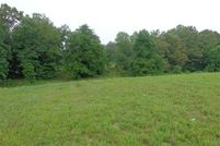 Undeveloped Land in Henry County, Tennessee
