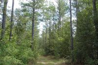 Riverfront Property in Wilcox County, Georgia