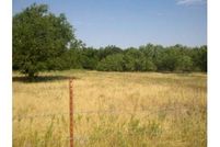 Land in Young County, Texas