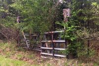 Undeveloped Land in Greene County, Arkansas