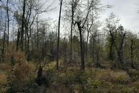 Farm and Ranch in Orange County, Texas