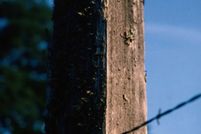 Farm and Ranch in Limestone County, Texas