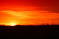 Farm and Ranch in Idaho County, Idaho