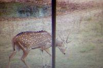 Undeveloped Land in Garza County, Texas