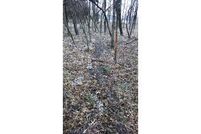 Land in Labette County, Kansas