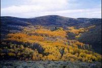 Land in Oneida County, Idaho