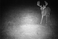 Land in Labette County, Kansas