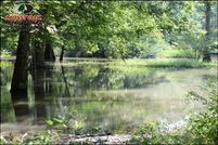Land in Clay County, Arkansas