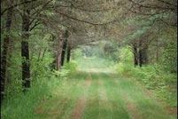 Lakefront Property in Iosco County, Michigan