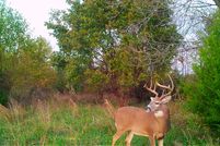 Farm and Ranch in Montgomery County, Kansas