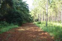 Farm and Ranch in Terrell County, Georgia