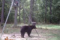 House in Cherokee County, Oklahoma