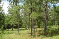 Land in Worth County, Georgia