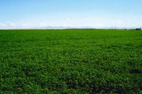 Land in Owyhee County, Idaho