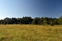 Undeveloped Land in Allen Parish, Louisiana