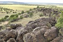 Farm and Ranch in Apache County, Arizona