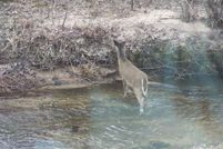 Recreational Property in Lake County, Michigan