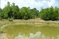 Land in Van Zandt County, Texas