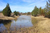 Hunting Property in Montague County, Texas