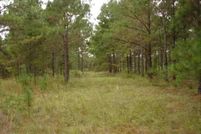 Farm and Ranch in Quitman County, Georgia