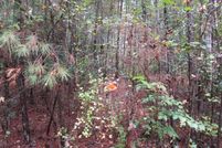 Farm and Ranch in Barbour County, Alabama