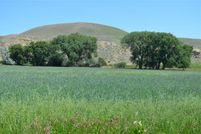 Farm and Ranch in Park County, Wyoming