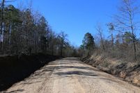 Timberland Property in Tuscaloosa County, Alabama