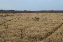 Farm and Ranch in Clay County, Texas