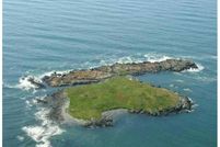 Oceanfront Property in Washington County, Maine