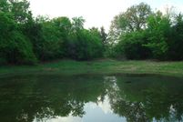 Undeveloped Land in Falls County, Texas