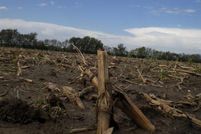 Land in Montgomery County, Kansas
